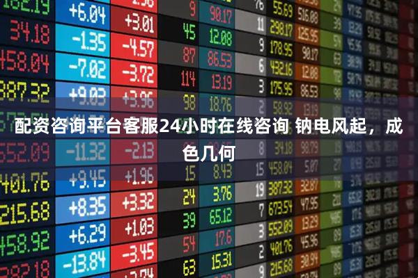 配资咨询平台客服24小时在线咨询 钠电风起，成色几何
